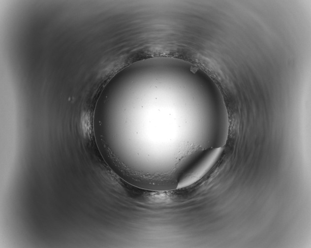 X0000096450335200801241424