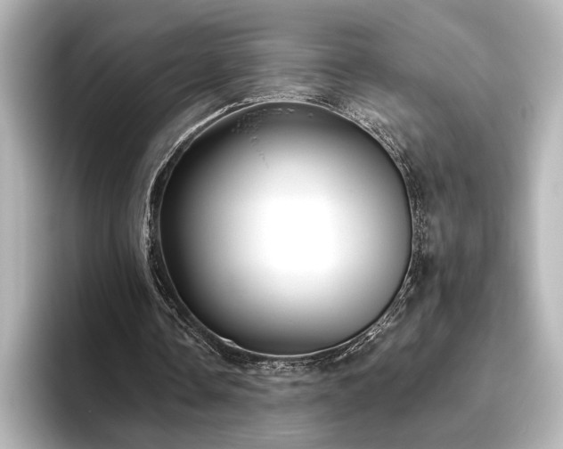 X0000096450338200801241423