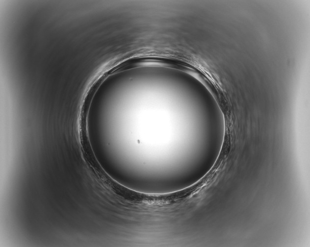 X0000096450340200801241423