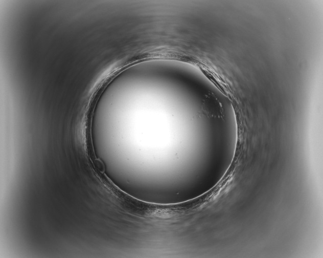 X0000096450341200801241423