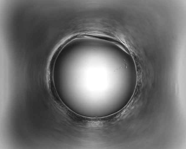 X0000096450342200801241423
