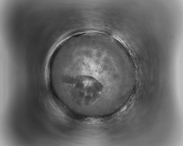 X0000096450343200801241423