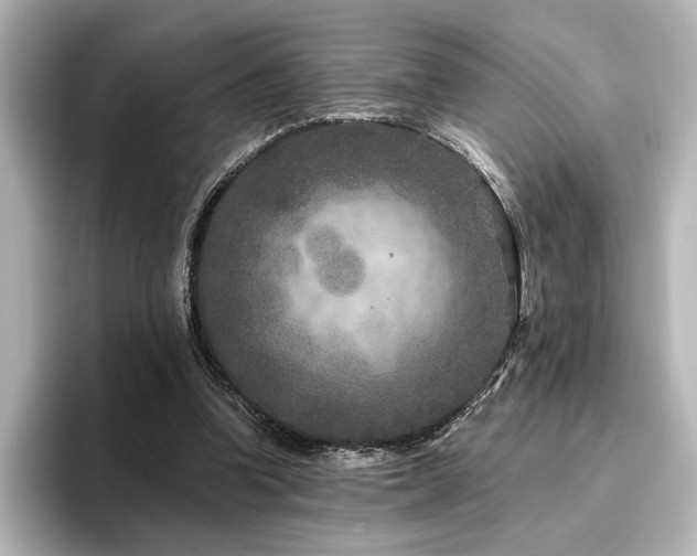 X0000096450346200801241423