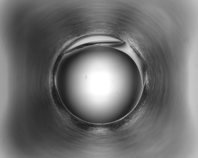 X0000096450348200801241423
