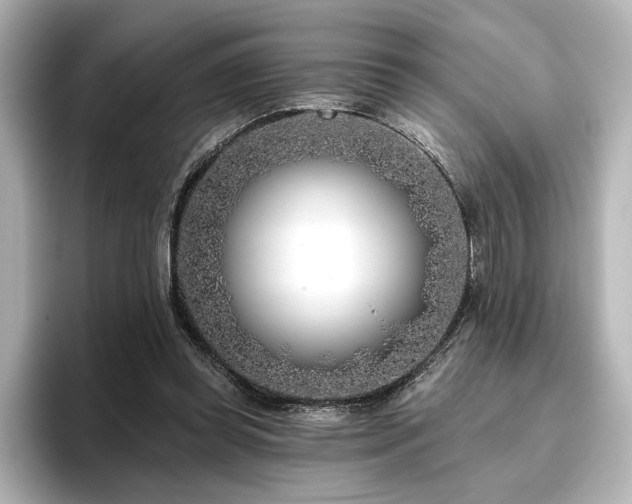 X0000096450349200801241423