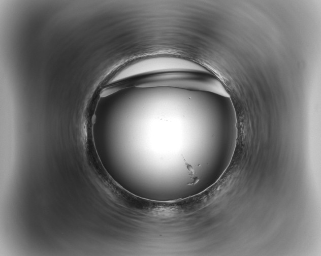 X0000096450350200801241423