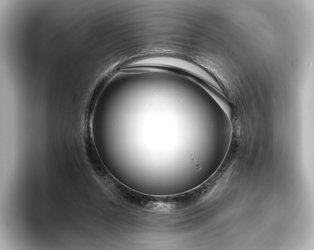 X0000096450352200801241423