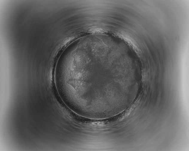 X0000096450353200801241423