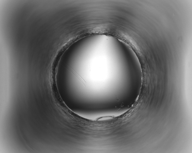 X0000096450354200801241423