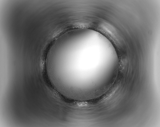 X0000096450355200801241423