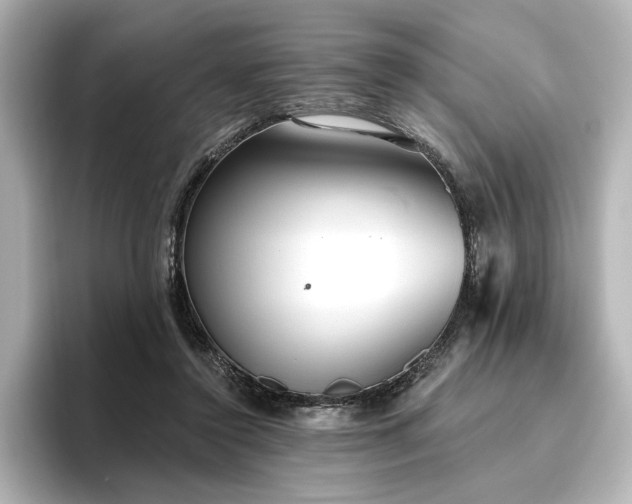 X0000096450356200801241423