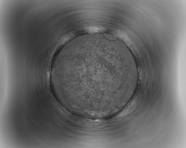 X0000096450357200801241423