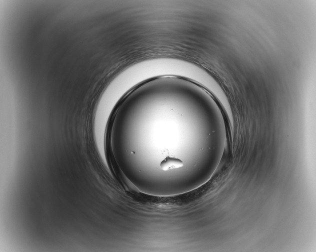 X0000096450360200801241423