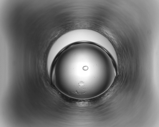 X0000096450362200801241423