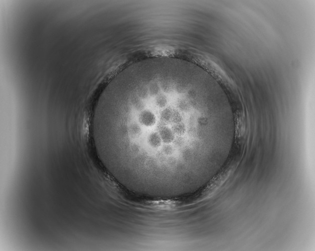 X0000096450363200801241423
