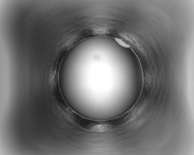 X0000096450364200801241423