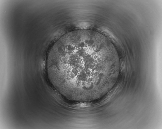 X0000096450365200801241423