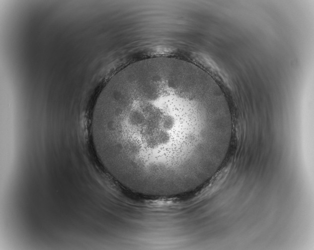 X0000096450366200801241423