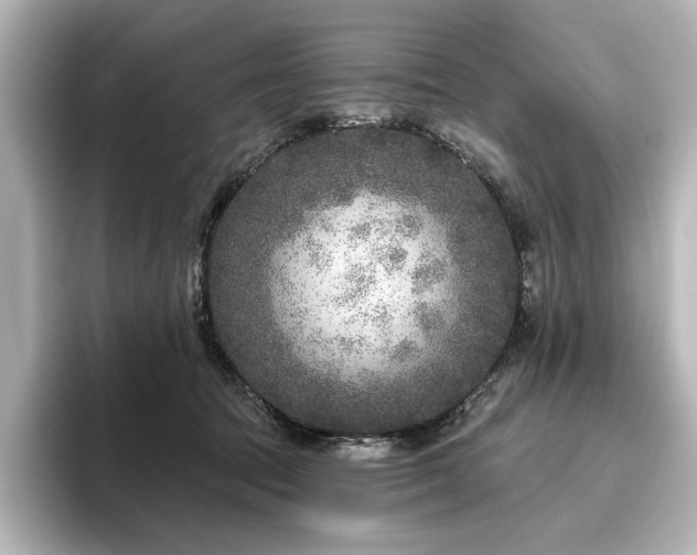 X0000096450369200801241423