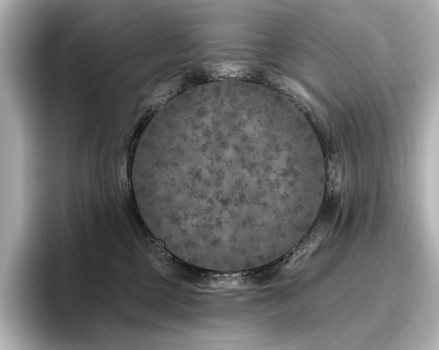 X0000096450377200801241423
