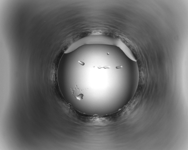 X0000096450379200801241424