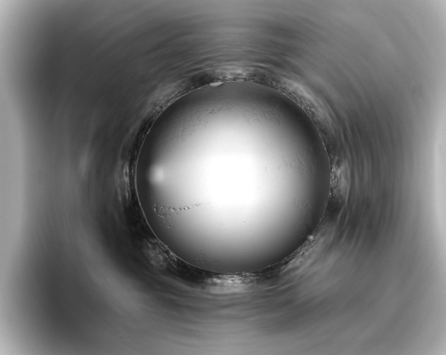 X0000096450381200801241424
