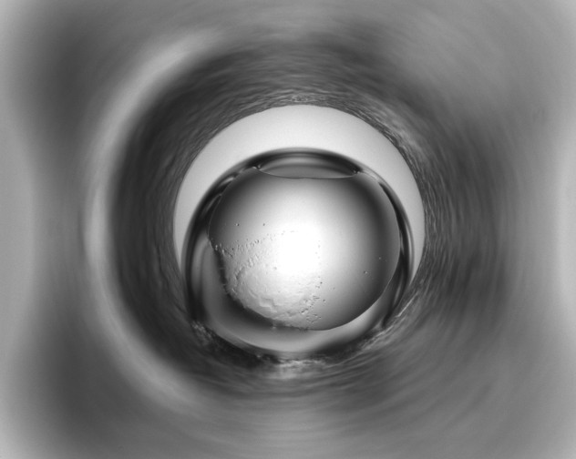 X0000096450382200801241424