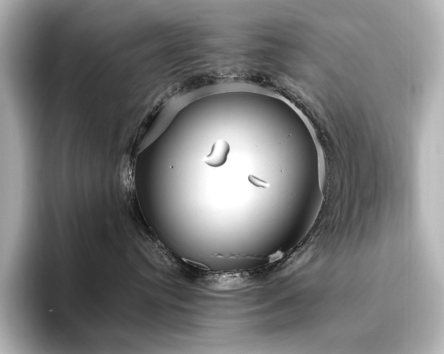 X0000096450384200801241424
