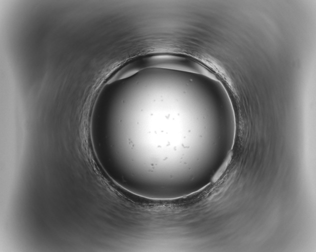X0000096450385200801241423