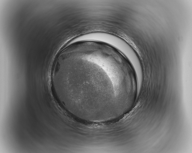 X0000096450386200801241423