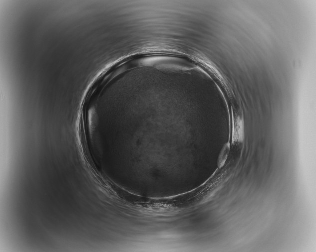 X0000096450387200801241423
