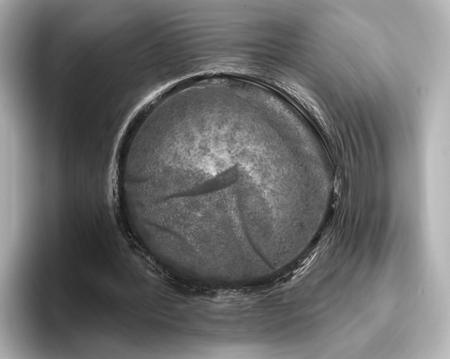 X0000096450388200801241423