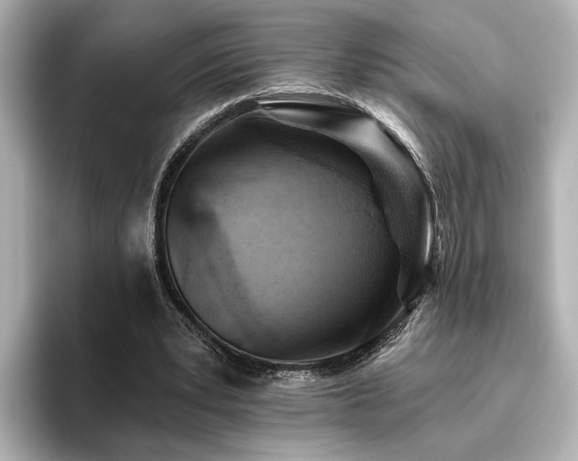 X0000096450391200801241423