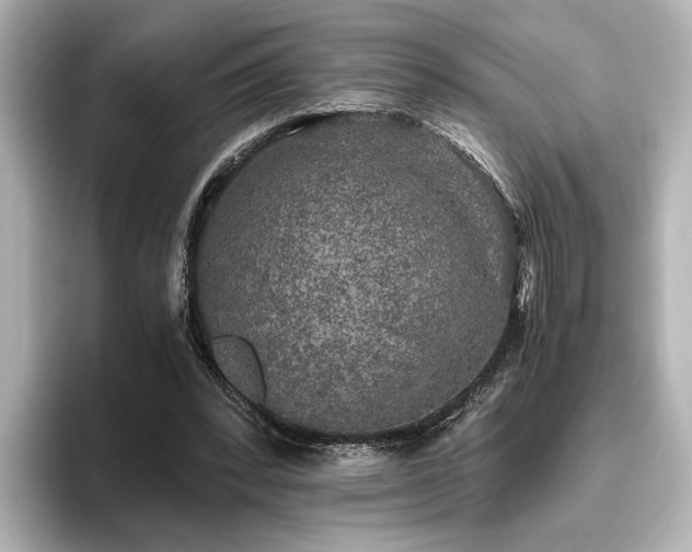 X0000096450392200801241423