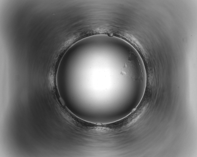 X0000096450393200801241423