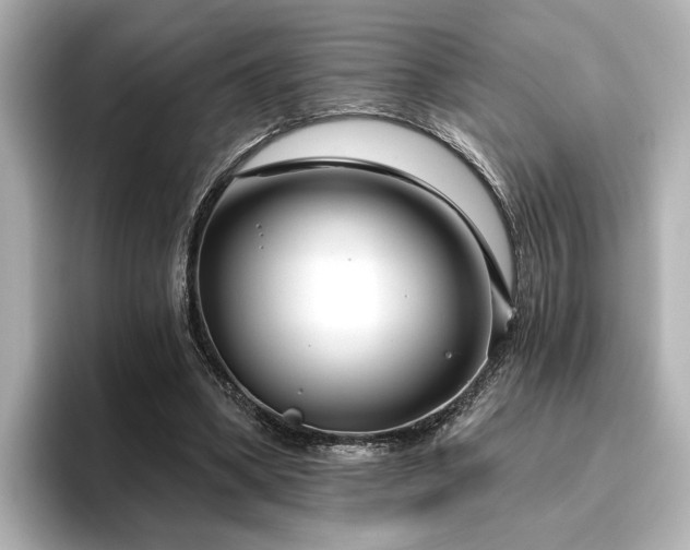 X0000096450394200801241423