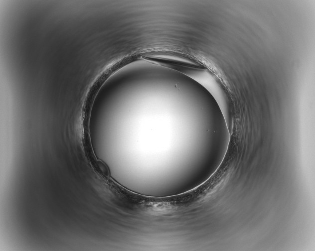X0000096450395200801241423