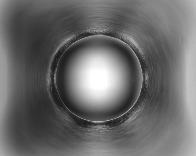 X0000096450396200801241423