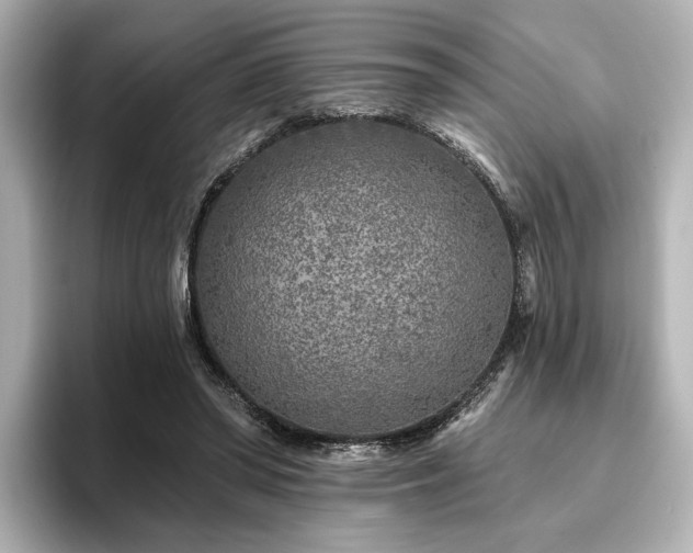 X0000096450398200801241423