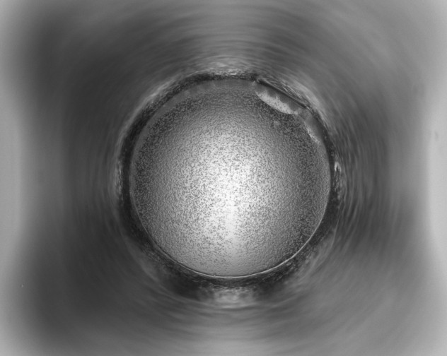 X0000096450400200801241423
