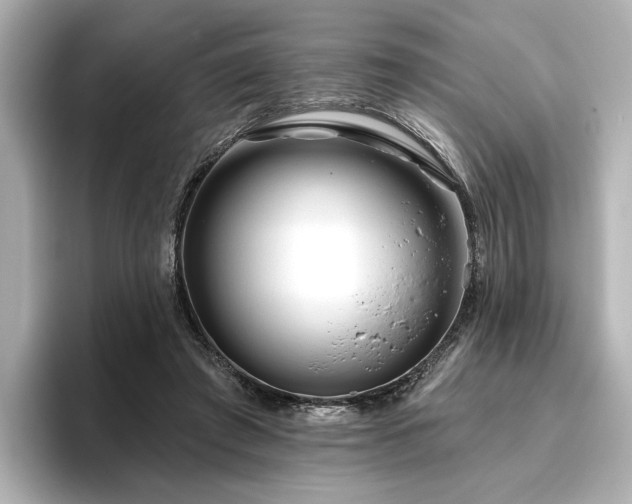 X0000096450401200801241423