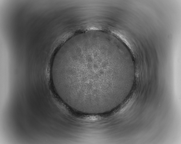 X0000096450402200801241423