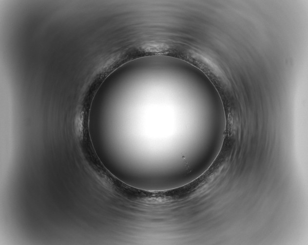 X0000096450404200801241423