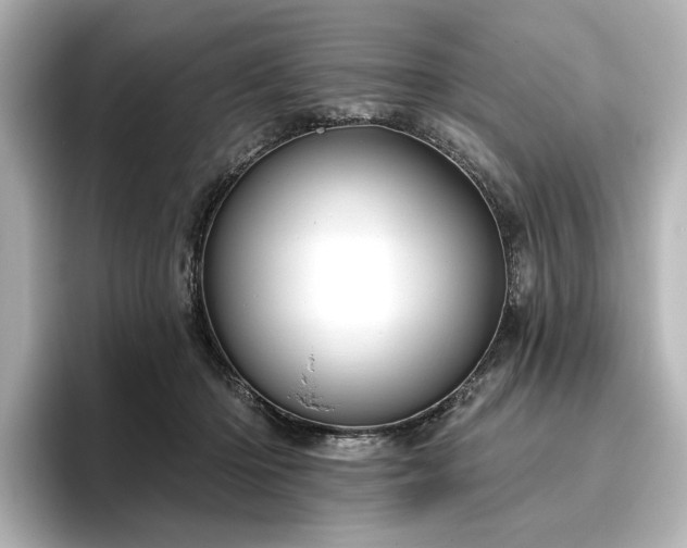 X0000096450414200801241422