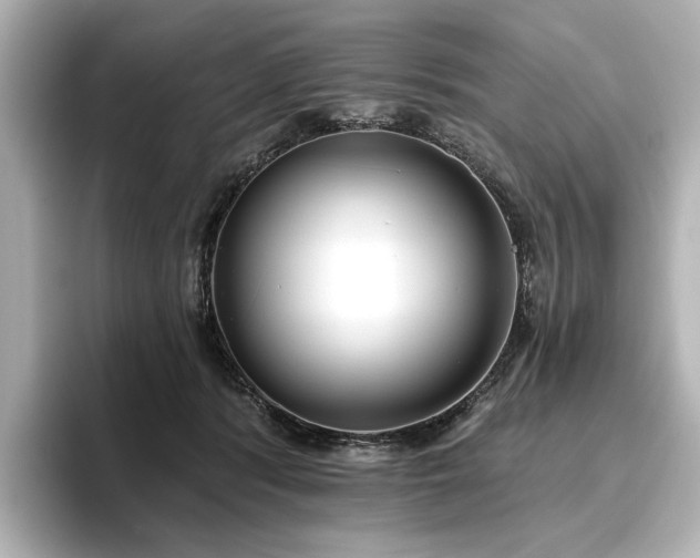 X0000096450416200801241422