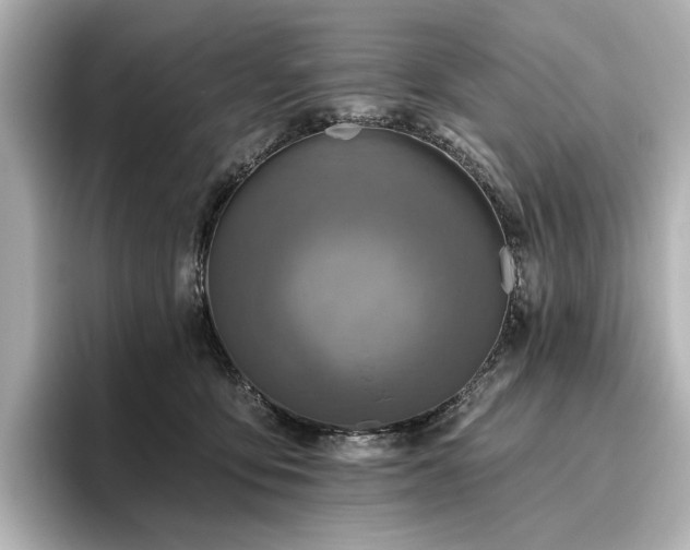 X0000096450419200801241422