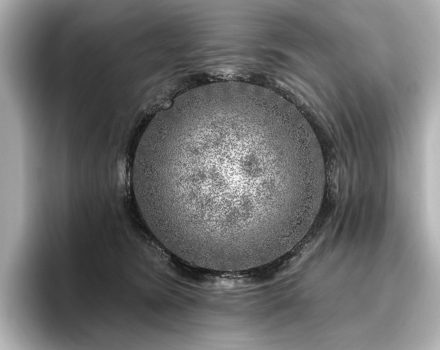 X0000096450420200801241422