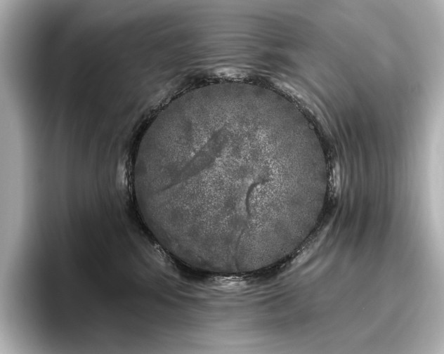 X0000096450424200801241422