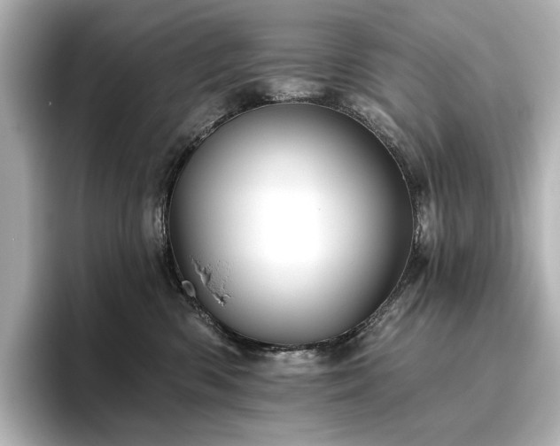 X0000096450426200801241422
