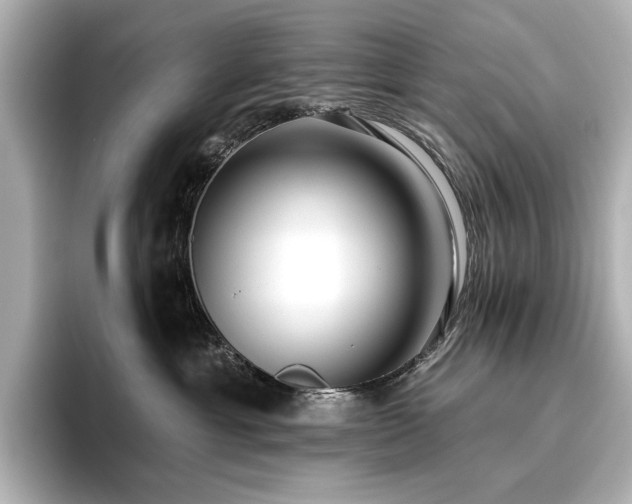 X0000096450429200801241422